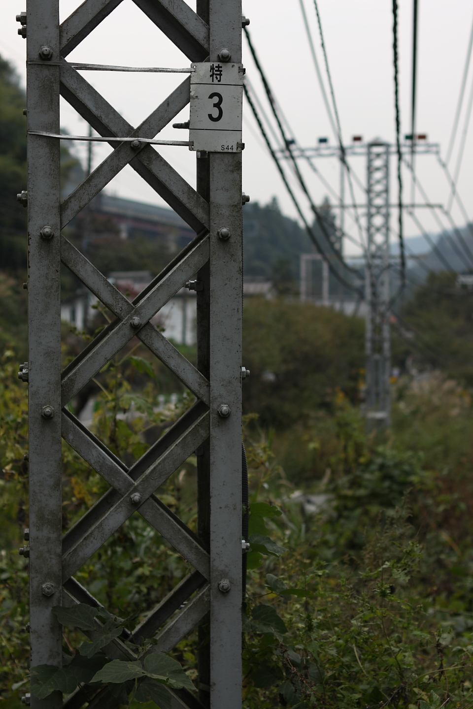 Canon EOS Kiss X2 + Canon EF50mm F1.4 USM