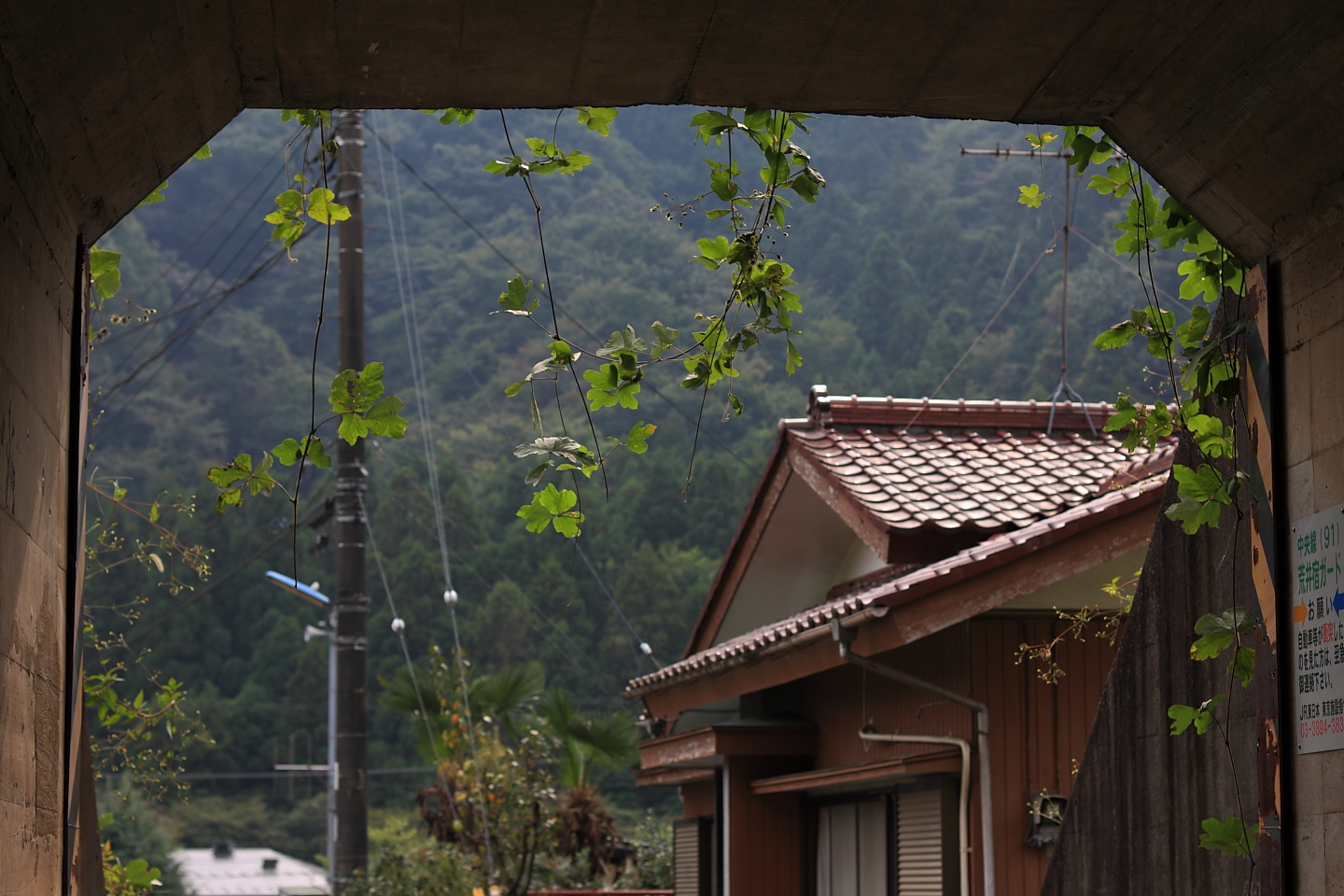 Canon EOS Kiss X2 + Canon EF50mm F1.4 USM