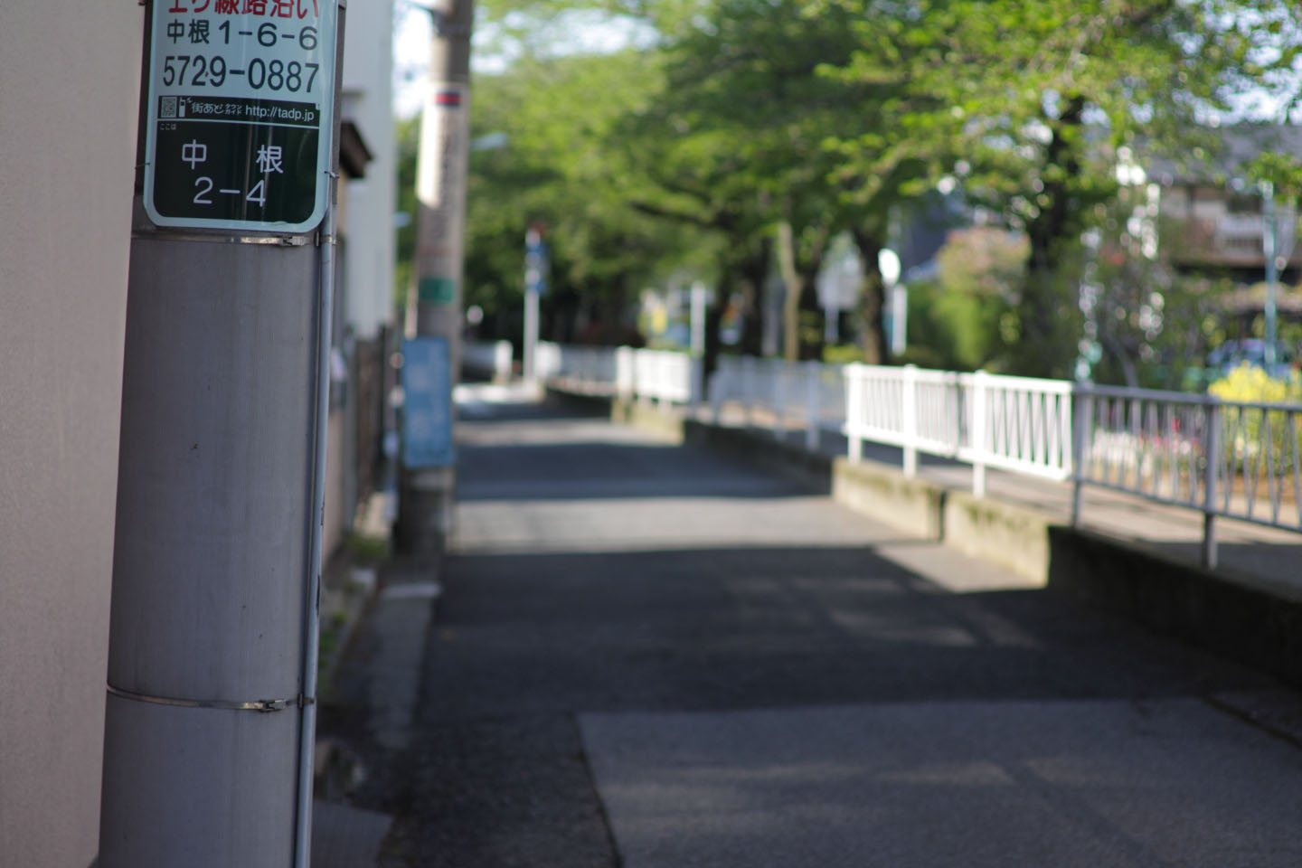 Canon EOS Kiss X2 + Canon EF50mm F1.4 USM