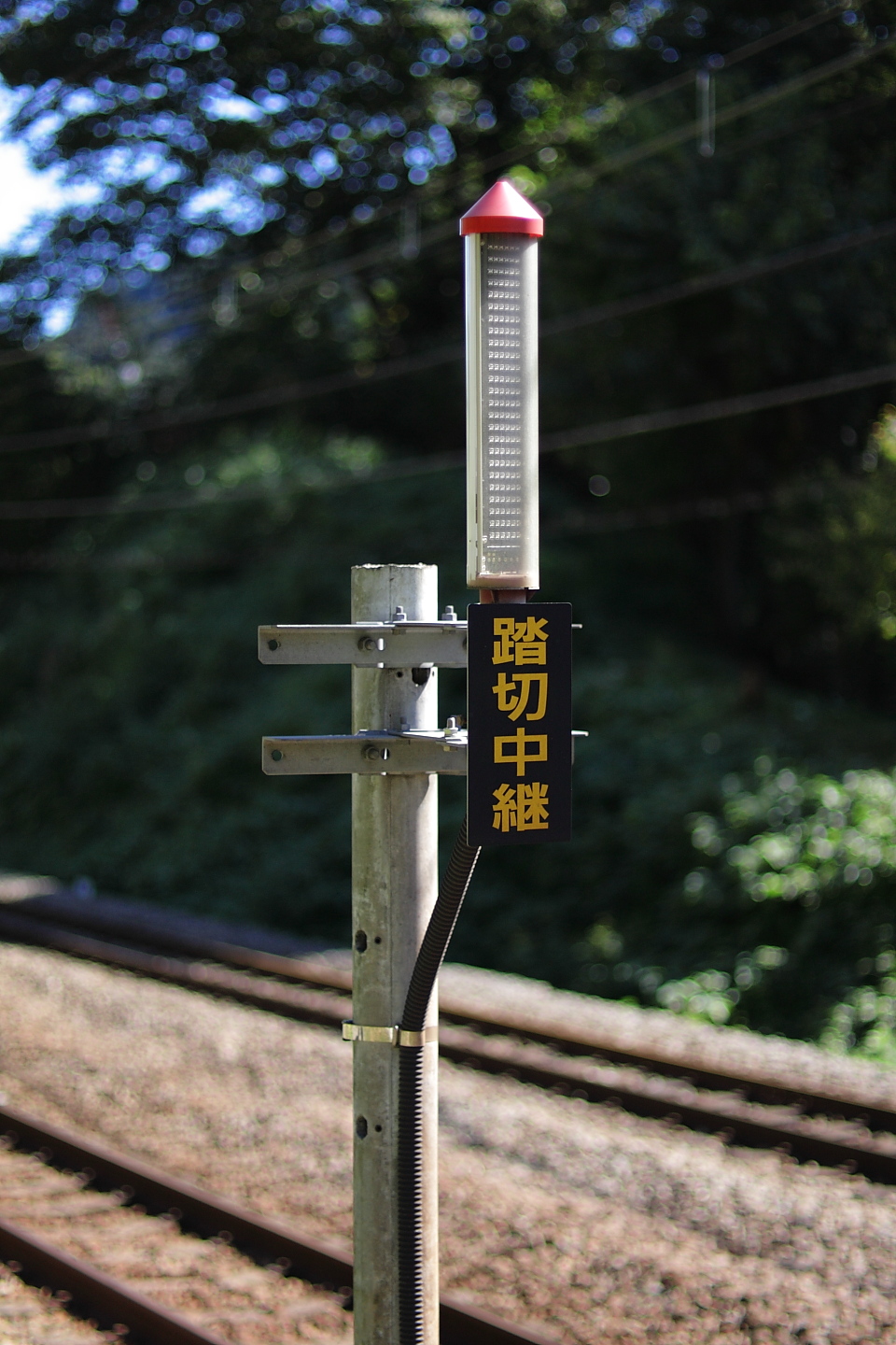 Canon EOS Kiss X2 + Canon EF50mm F1.4 USM