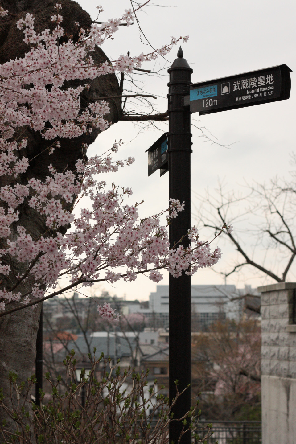 Canon EOS Kiss X2 + Canon EF50mm F1.4 USM