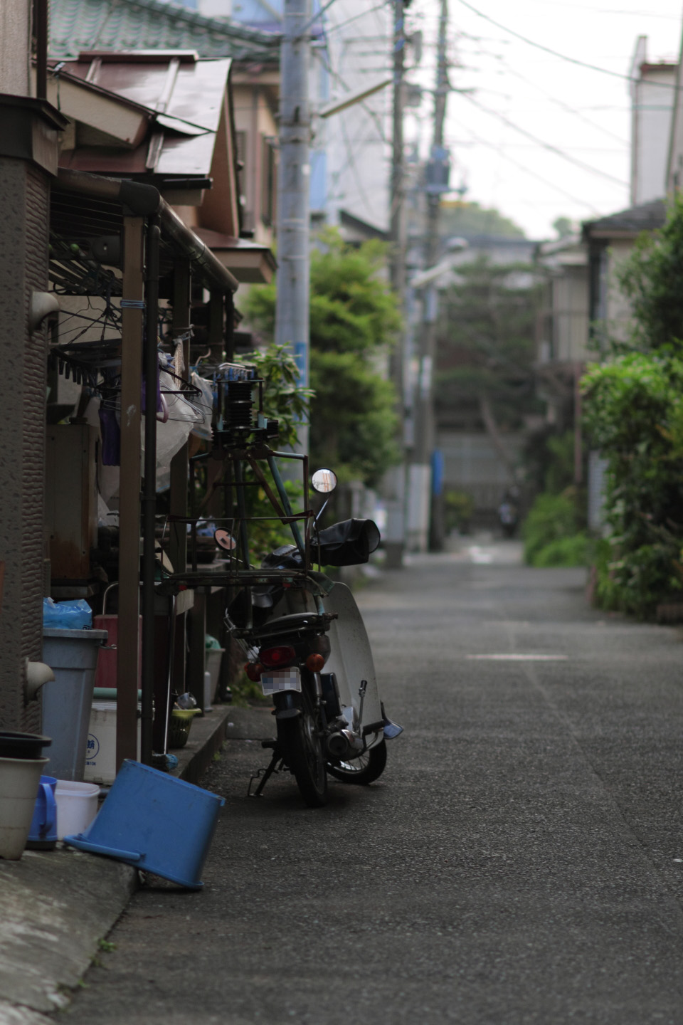 Canon EOS Kiss X2 + Canon EF100mm F2 USM