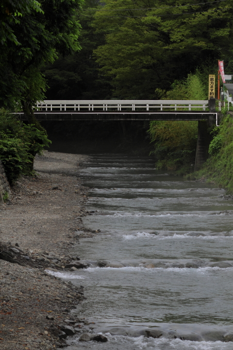 Canon EOS 60D + Canon EF100mm F2 USM