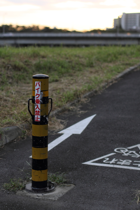 Canon EOS 60D + Canon EF50mm F1.4 USM