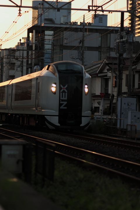 Canon EOS 60D + Canon EF100mm F2 USM