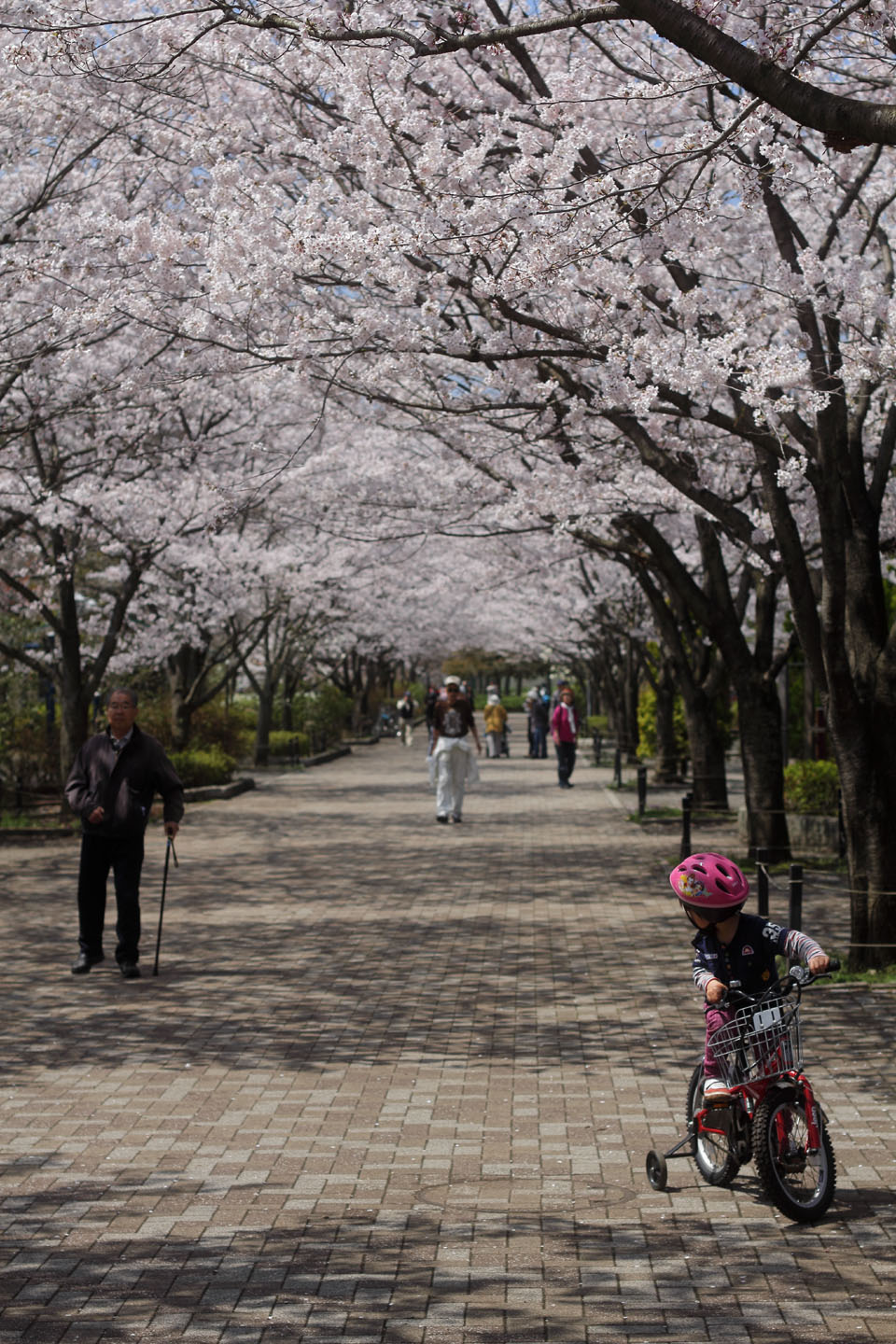 Canon EOS 60D + Canon EF50mm F1.4 USM + Kenko Black Mist No.1