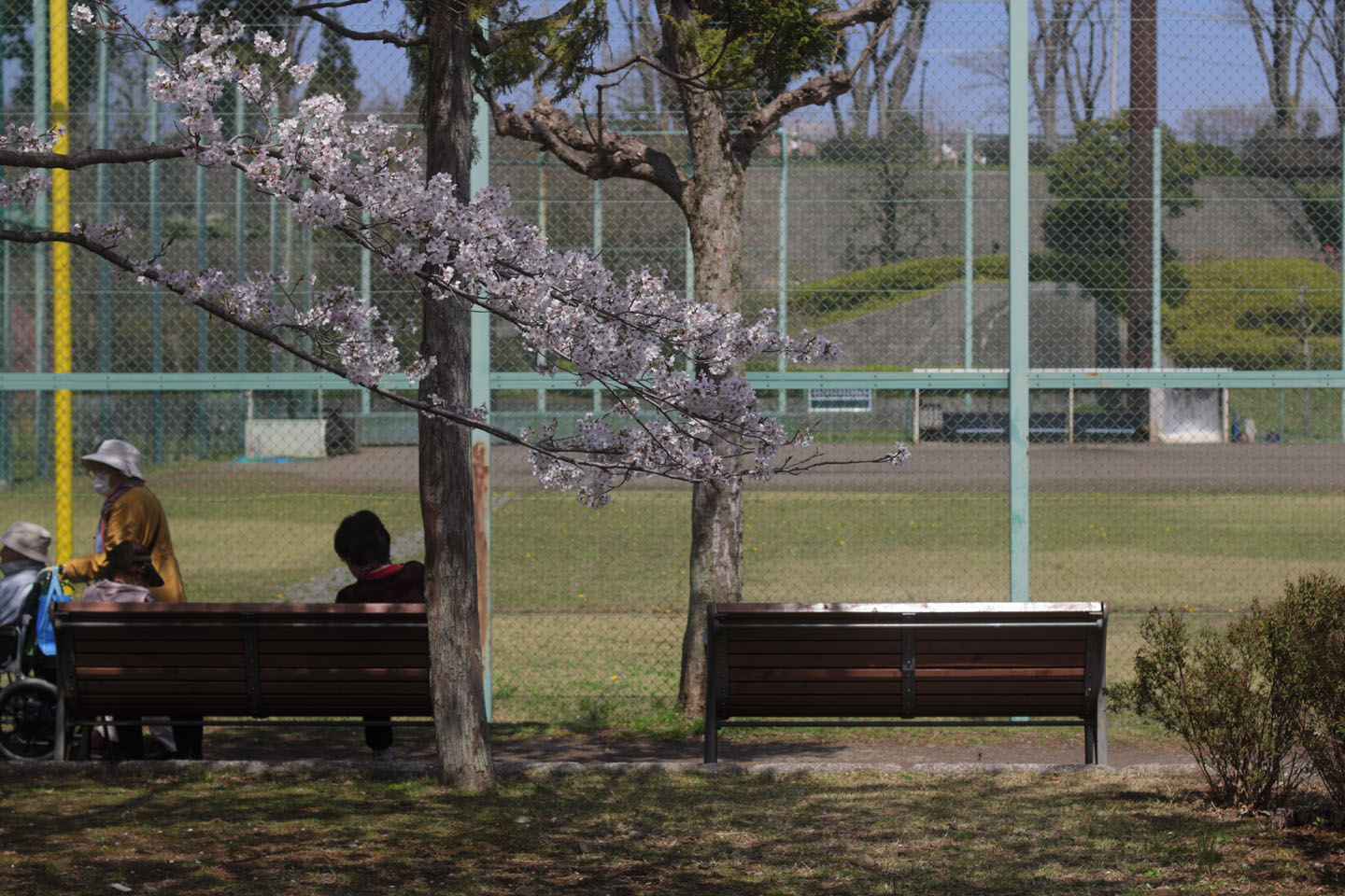 Canon EOS 60D + Canon EF50mm F1.4 USM + Kenko Black Mist No.1