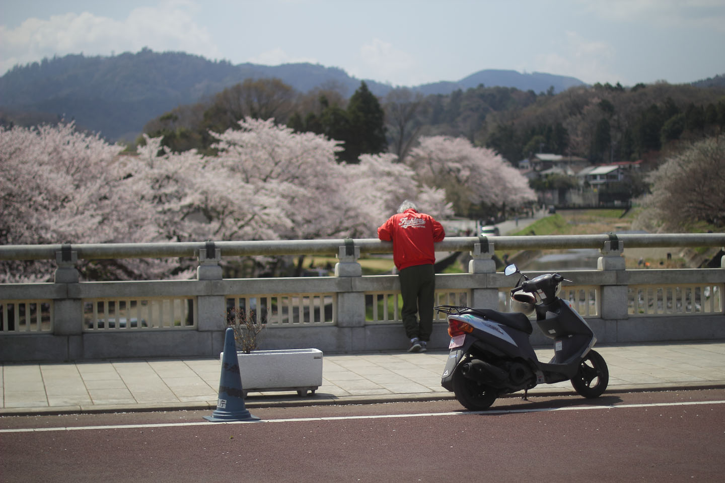 Canon EOS 60D + Canon EF50mm F1.4 USM + Kenko Black Mist No.1