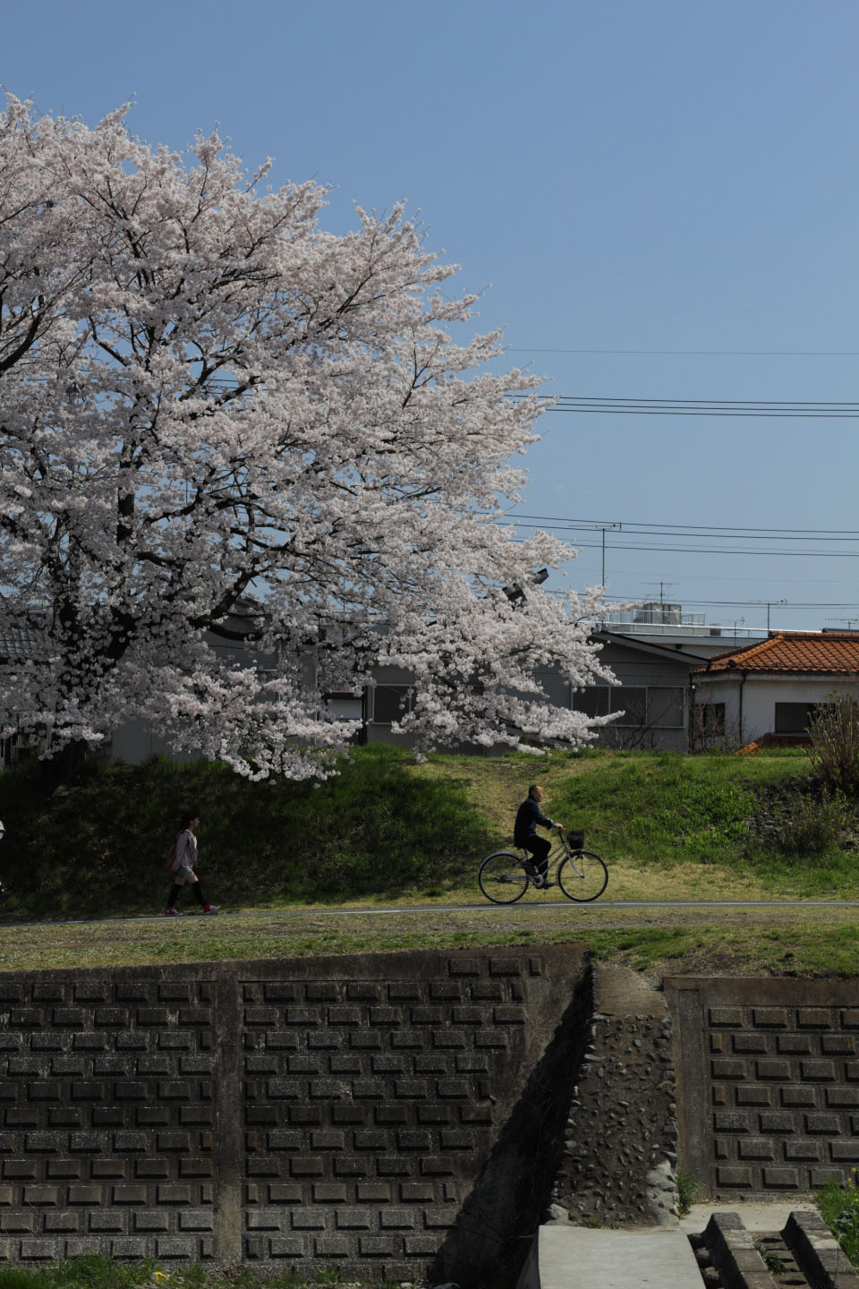 Canon EOS 60D + Canon EF50mm F1.4 USM + Kenko C-PL