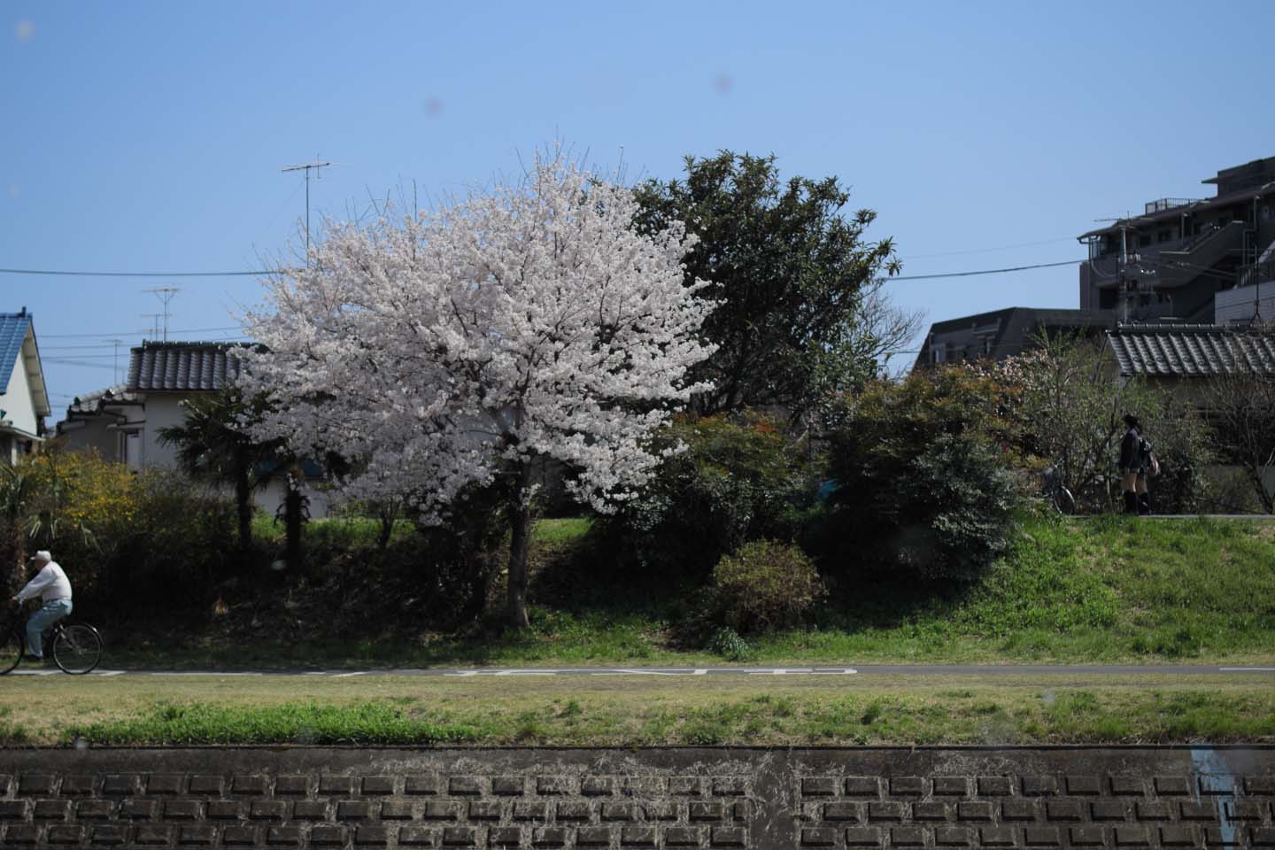 Canon EOS 60D + Canon EF50mm F1.4 USM + Kenko C-PL