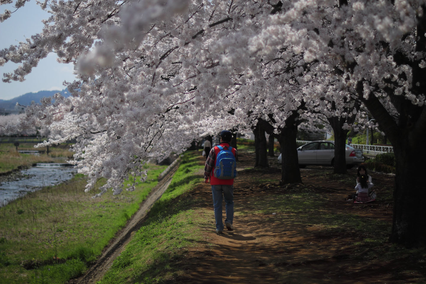 Canon EOS 60D + Canon EF50mm F1.4 USM + Kenko C-PL