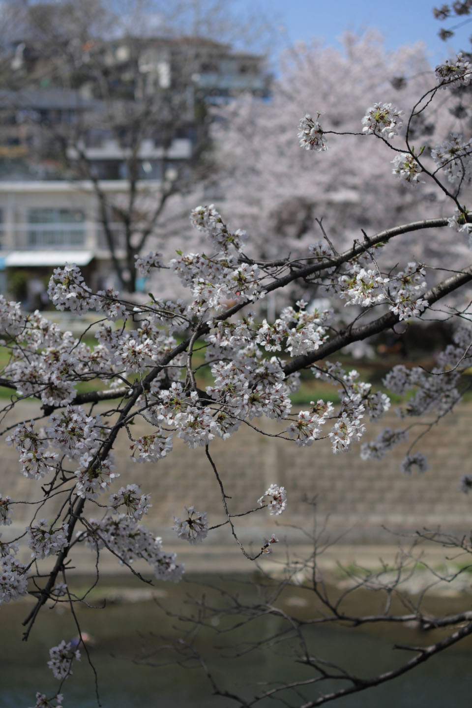 Canon EOS 60D + Canon EF50mm F1.4 USM + Kenko C-PL