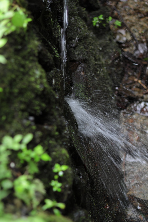 Canon EOS 60D + Canon EF50mm F1.4 USM