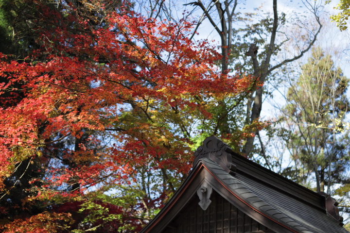 Canon EOS 60D + Canon EF50mm F1.4 USM + Kenko C-PL