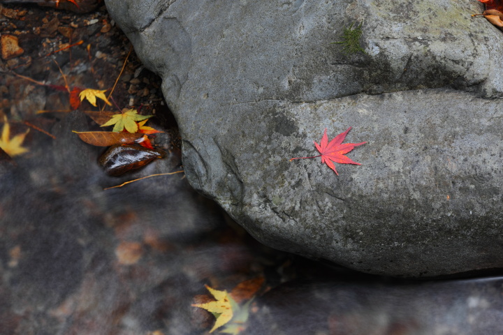 Canon EOS 60D + Canon EF50mm F1.4 USM + Kenko C-PL