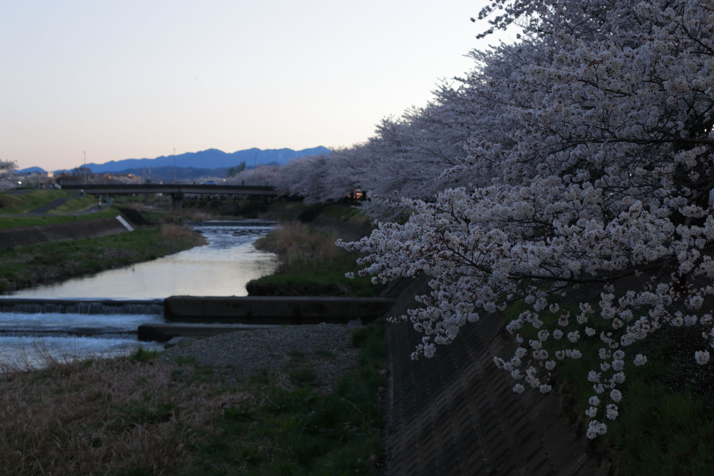 Canon EOS 6D + Canon EF50mm F1.4 USM